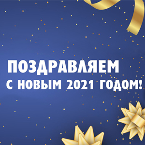 С наступающим Новым 2021 Годом!